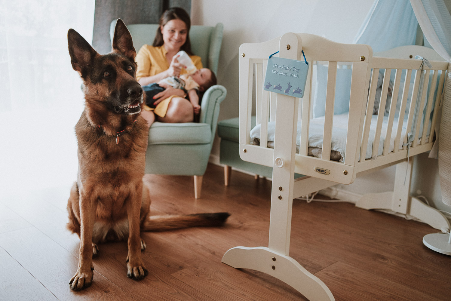dog i baby's room - family wedding photographer portugal