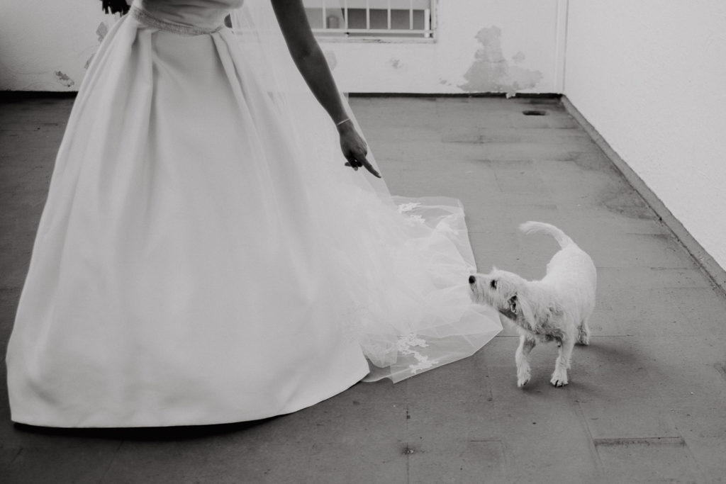 dog and bride casa de reguengos wedding photographer